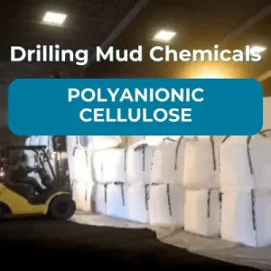 Polyanionic Cellulose